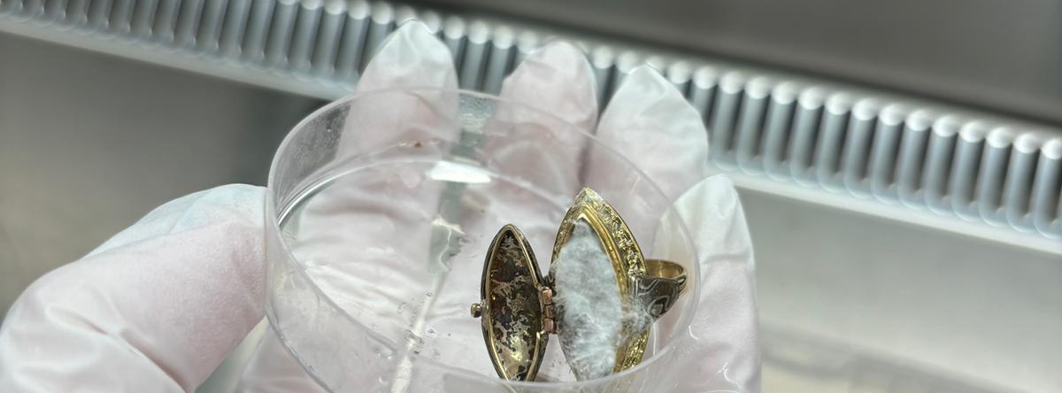 Mycelium-ring.jpg