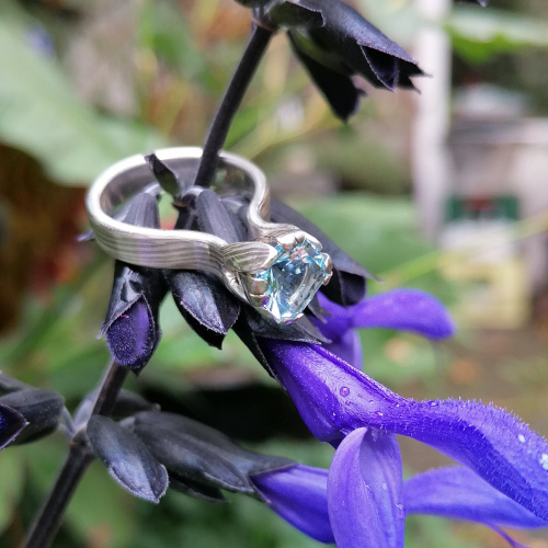 Does-natuur-powerflowerring.jpg